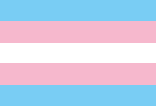 Image of transgender pride flag