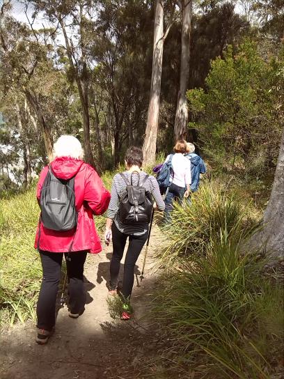 The women's walking group walking in Mt Nelson. 