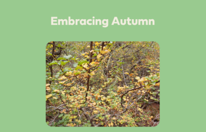 A photo of the turning Fagus with the title 'Embracing Autumn' on a green background