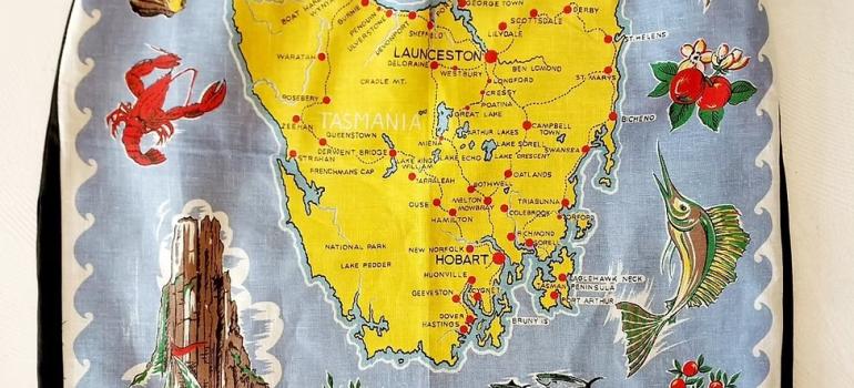 Part of a skirt with a map of Tasmania printed on the front