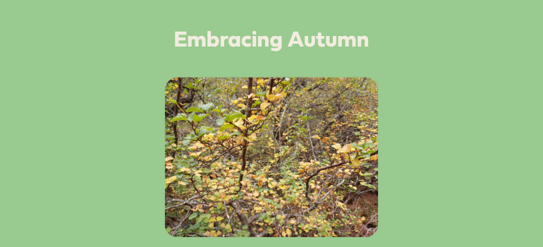 A photo of the turning Fagus with the title 'Embracing Autumn' on a green background
